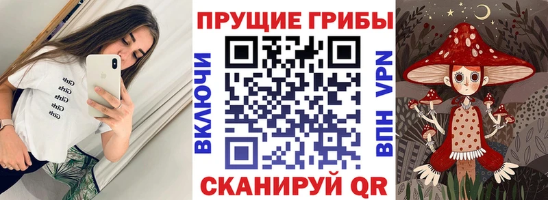 Псилоцибиновые грибы Cubensis  Динская 